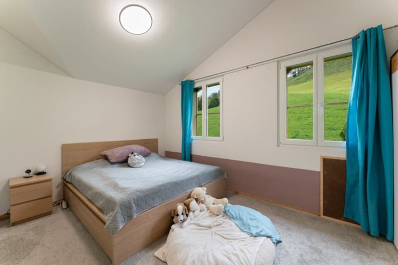 Sanierte Dachwohnung - moderner Ausbaustandard und Wohnkomfort (3)