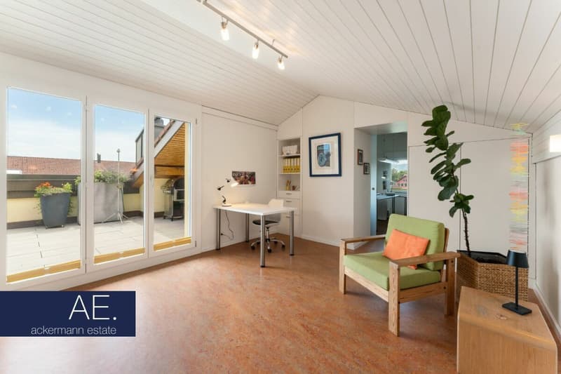 Wohnkomfort auf zwei Etagen - mit grosszügiger Dachterrasse (10)