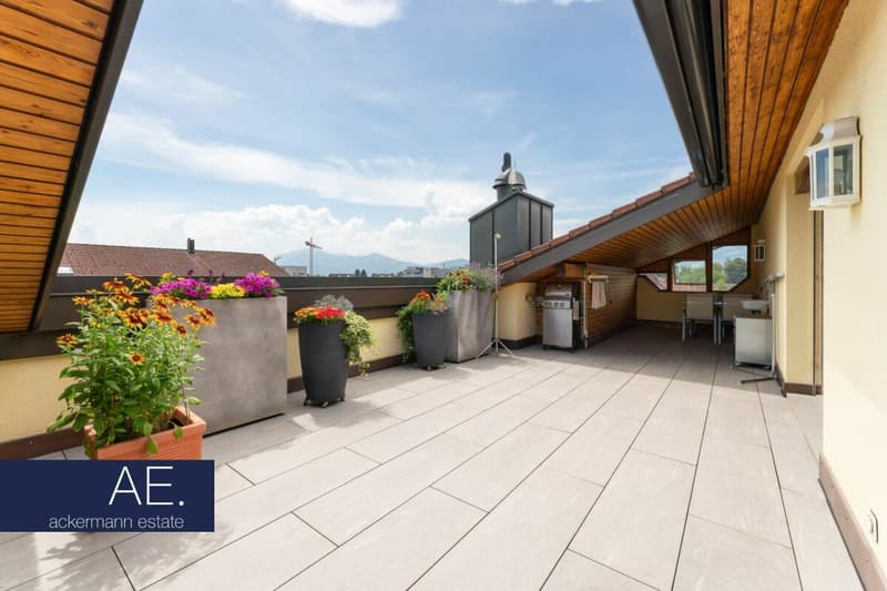 Wohnkomfort auf zwei Etagen - mit grosszügiger Dachterrasse (11)