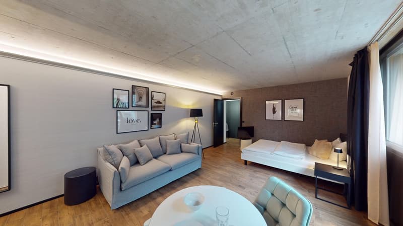 Topmodernes, möbliertes Appartement im Sternmattquartier (3)