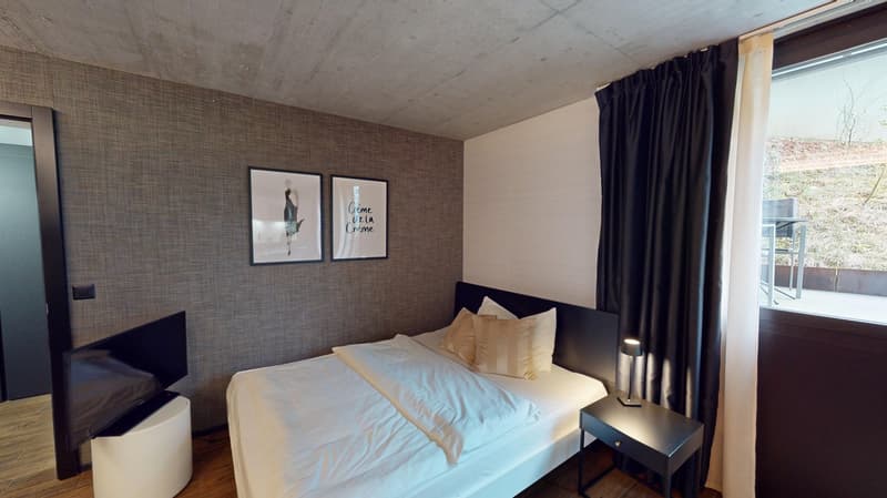 Topmodernes, möbliertes Appartement im Sternmattquartier (5)