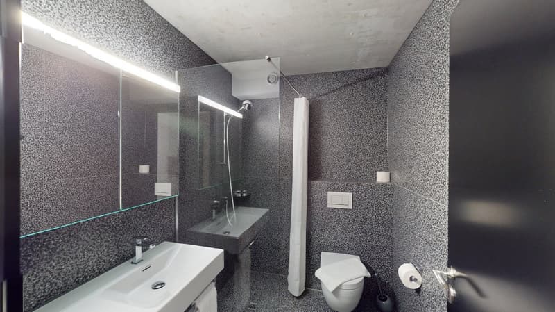 Topmodernes, möbliertes Appartement im Sternmattquartier (10)