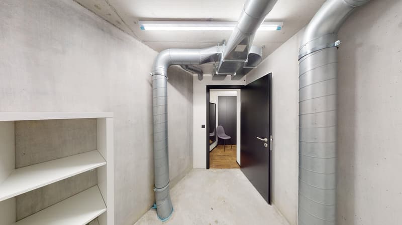 Topmodernes, möbliertes Appartement im Sternmattquartier (14)