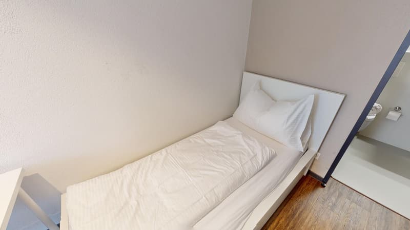Modernes, möbliertes Appartement im Zentrum (5)