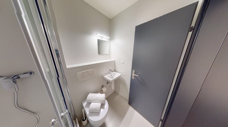 Modernes, möbliertes Appartement im Zentrum (12)