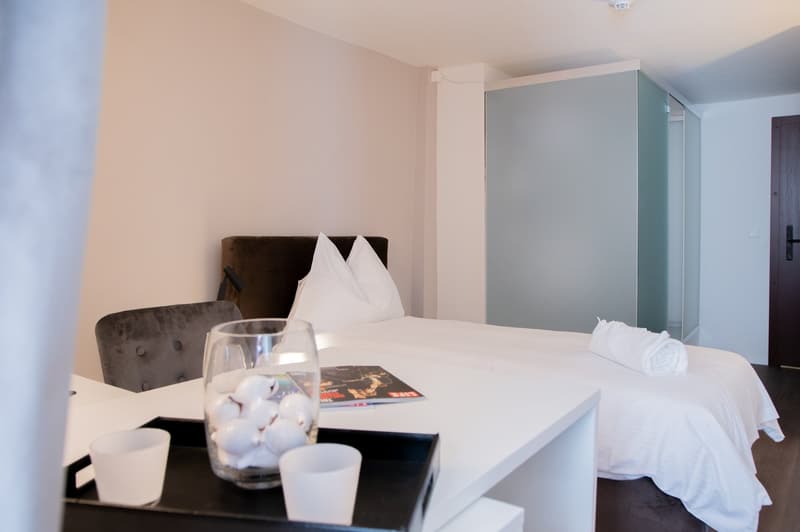 Schönes, komplett möbliertes Appartement in der Altstadt (2)