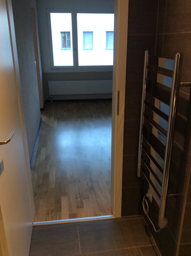 Charmante 2-Zimmer-Wohnung in Meiringen – ab August 2026 verfügbar (18)