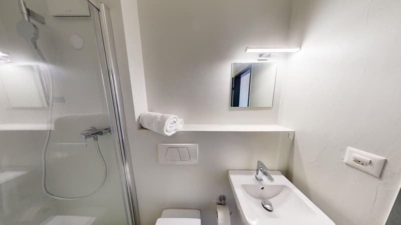 Modernes, möbliertes Appartement im Zentrum (10)