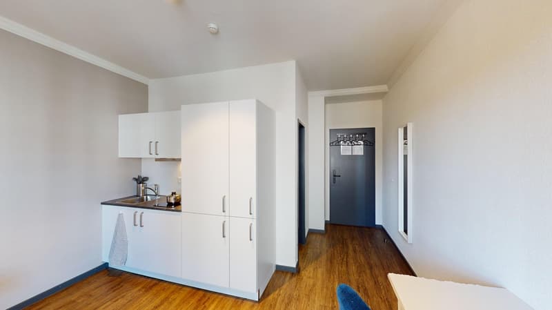 Modernes, möbliertes Appartement im Zentrum (5)