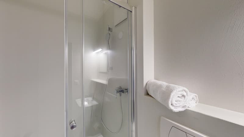 Modernes, möbliertes Appartement im Zentrum (11)