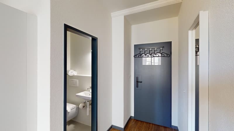 Modernes, möbliertes Appartement im Zentrum (8)
