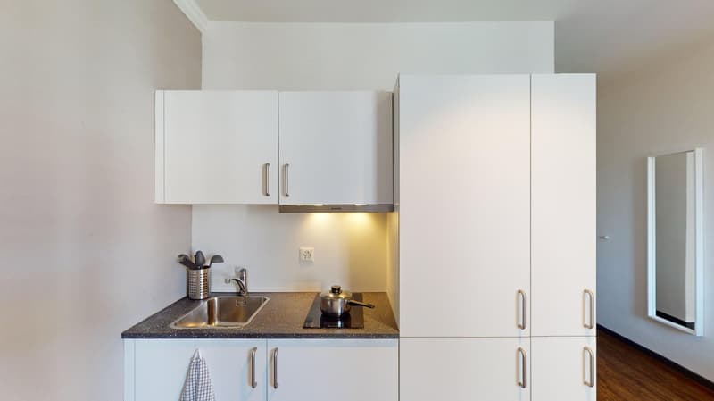 Modernes, möbliertes Appartement im Zentrum (6)