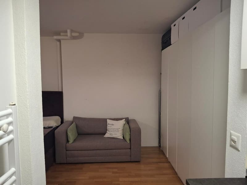 Charmante 2-Zimmer-Wohnung in Luzern (3)