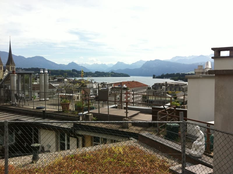 Charmante 2-Zimmer-Wohnung in Luzern (8)