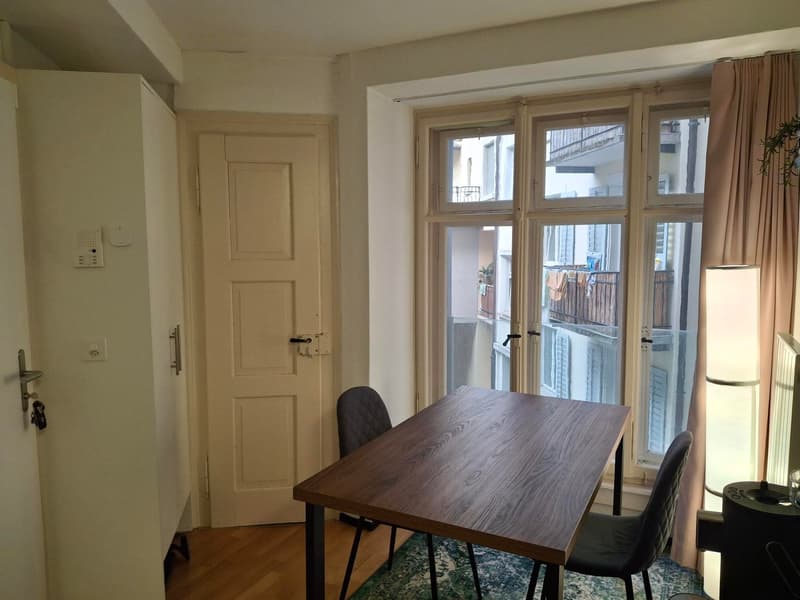 Charmante 2-Zimmer-Wohnung in Luzern (1)