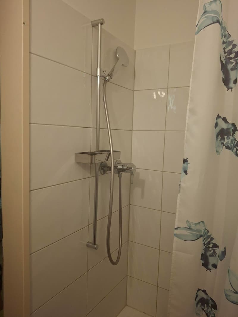 Charmante 2-Zimmer-Wohnung in Luzern (6)