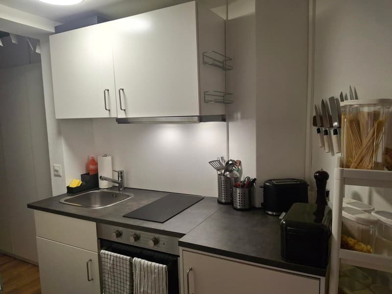 Charmante 2-Zimmer-Wohnung in Luzern (2)