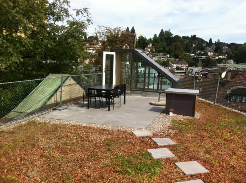 Charmante 2-Zimmer-Wohnung in Luzern (9)