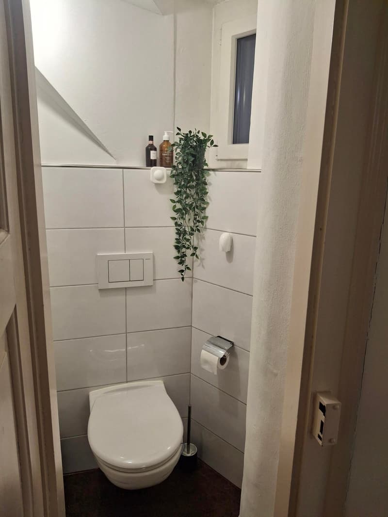 Charmante 2-Zimmer-Wohnung in Luzern (7)
