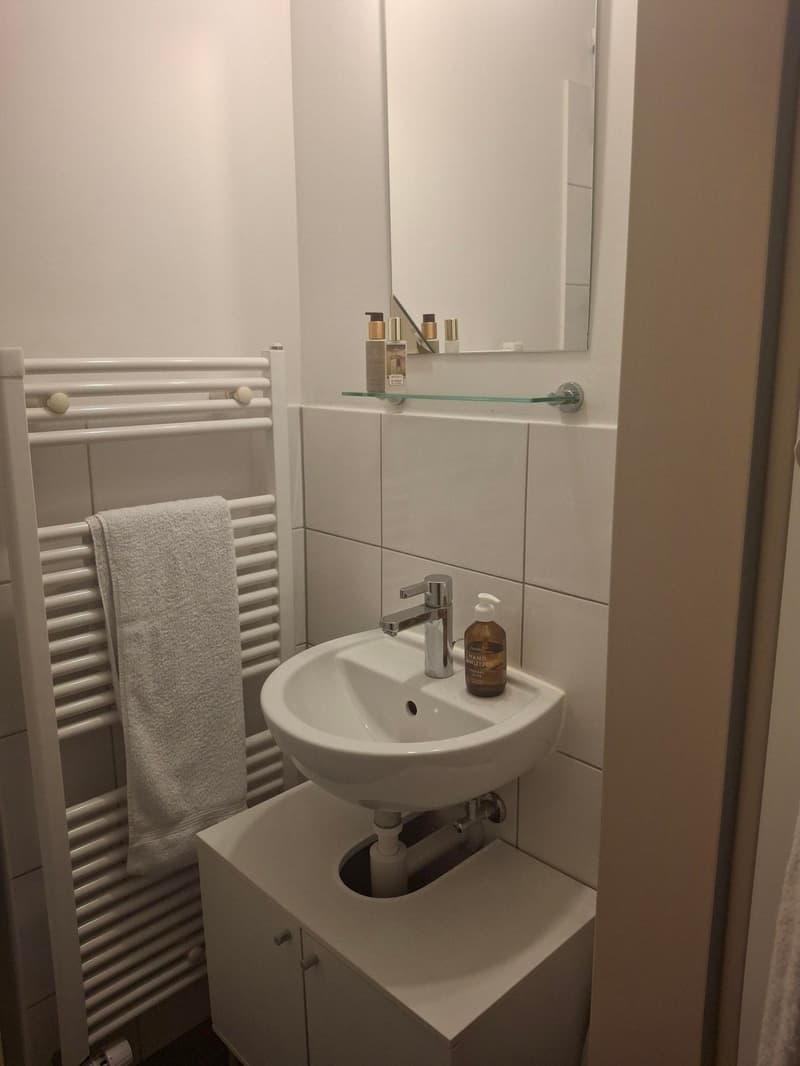 Charmante 2-Zimmer-Wohnung in Luzern (5)