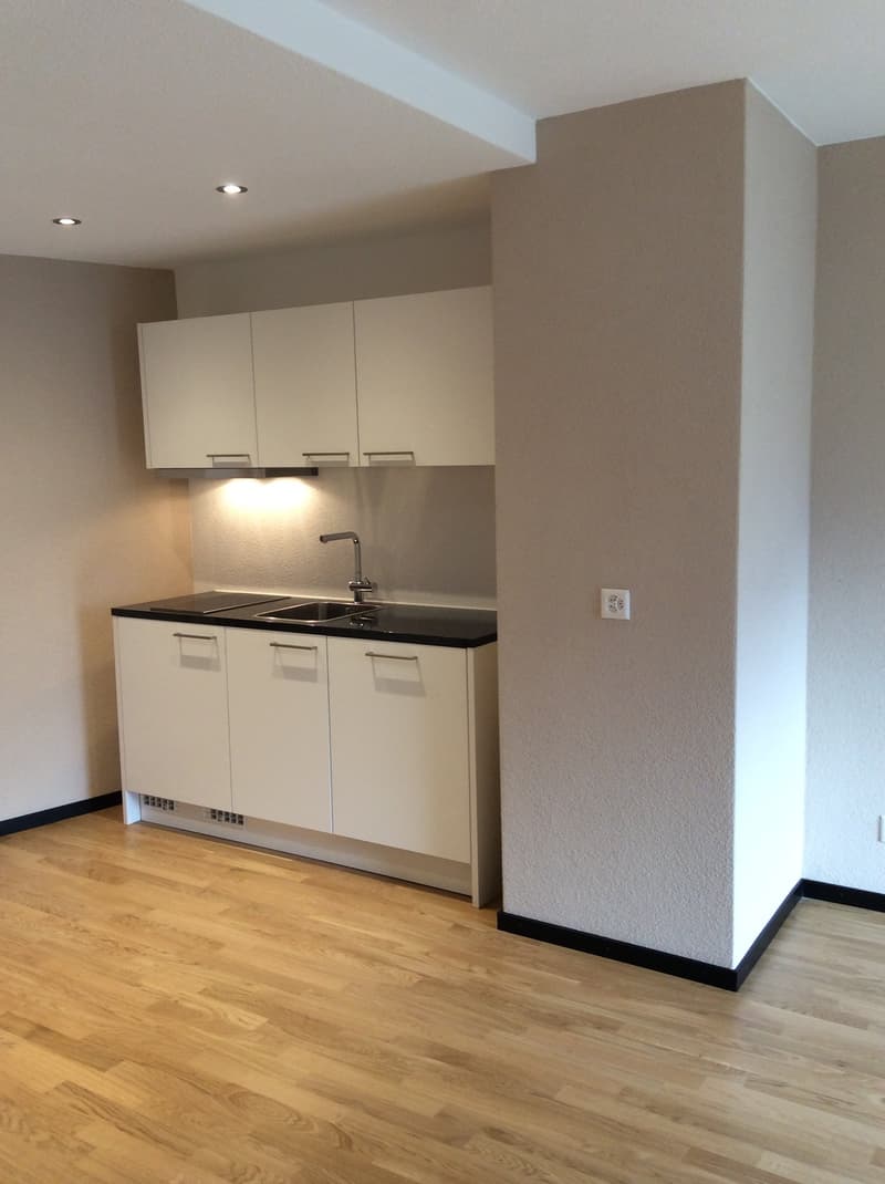 Modernes 2-Zimmer-Appartement im Herzen von Meiringen – 52 m² (4)
