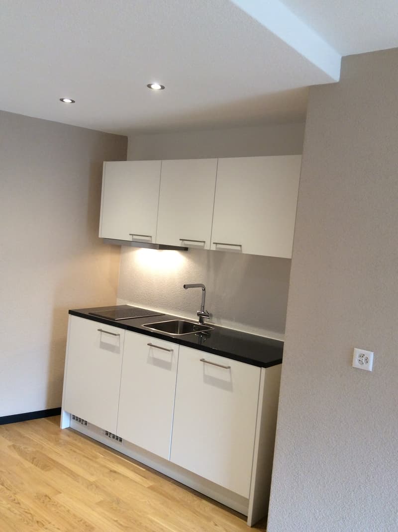Modernes 2-Zimmer-Appartement im Herzen von Meiringen – 52 m² (1)
