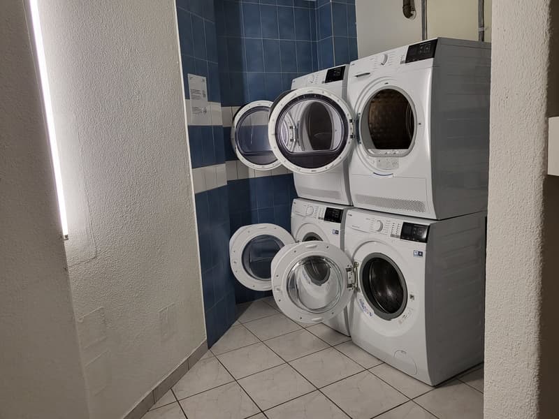 Modernes, möbliertes Appartement im Zentrum (10)