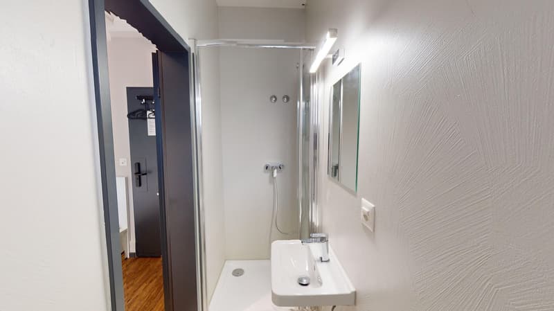Modernes, möbliertes Appartement im Zentrum (9)
