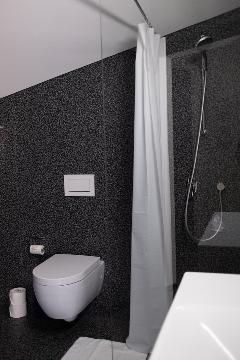 Topmodernes, möbliertes Appartement im Sternmattquartier (13)