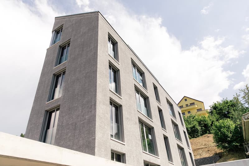 Topmodernes, möbliertes Appartement im Sternmattquartier (19)
