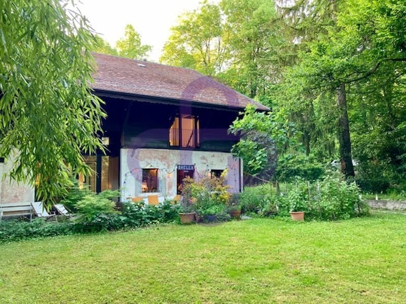 Belle maison du XIXème avec beaucoup de cachet à Champel (12)