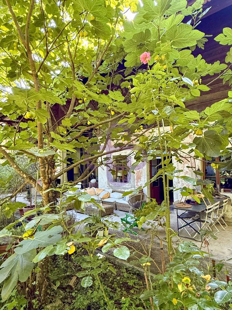 Belle maison du XIXème avec beaucoup de cachet à Champel (11)