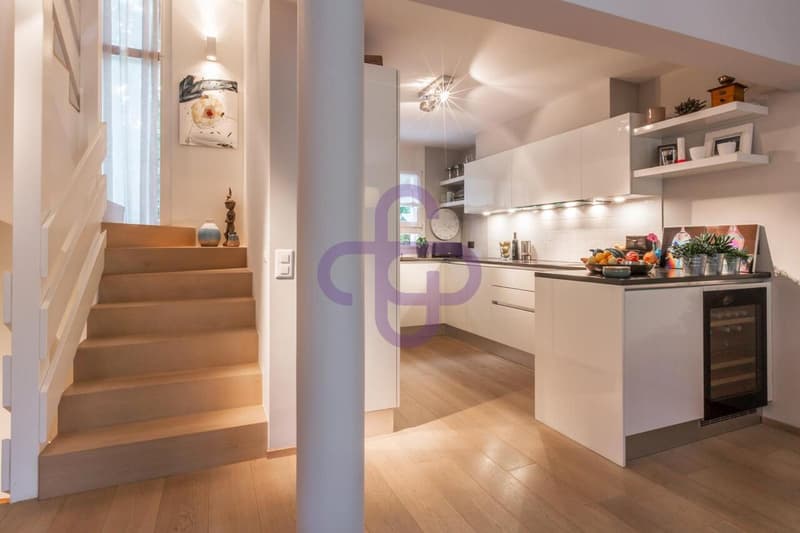 Belle maison contiguë située à Collonge-Bellerive (1)