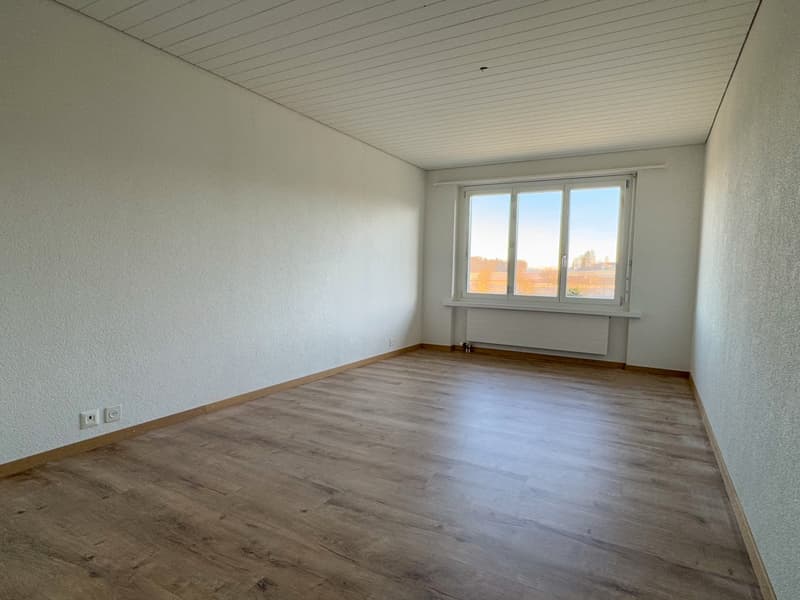 Moderne 4.5-Zimmer-Wohnung in Bäriswil zu vermieten (6)