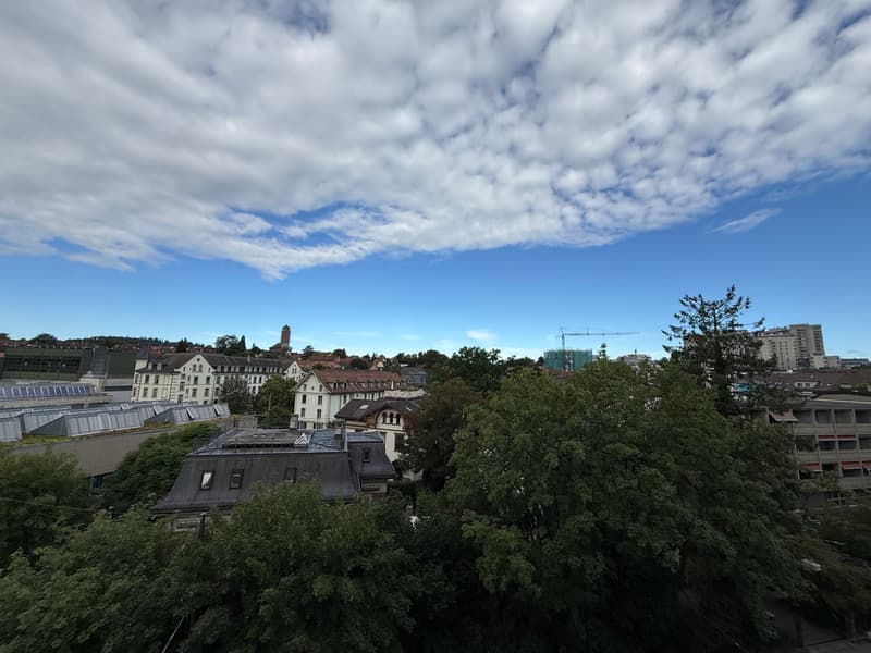 Zentrale und frisch sanierte 3-Zimmerwohnung in Bern (11)