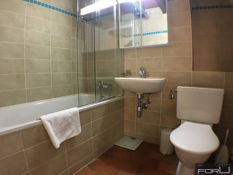 Divers appartements meublés en résidence à Carouge (6)