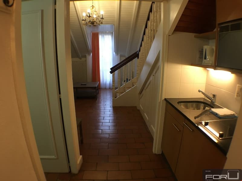 Divers appartements meublés en résidence à Carouge (3)