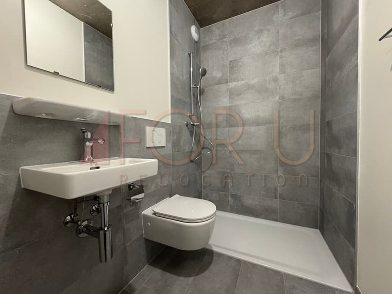 NEUF - très bel appartement de 5 pièces à Carouge (12)