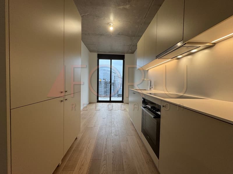NEUF - très bel appartement de 5 pièces à Carouge (5)