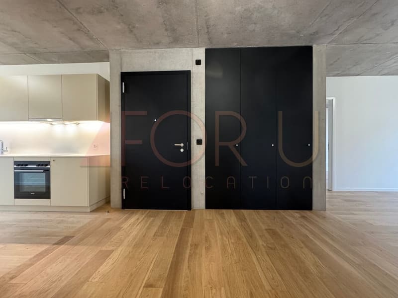 NEUF - très bel appartement de 5 pièces à Carouge (2)