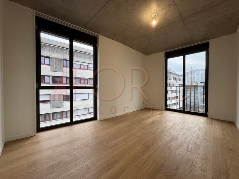 NEUF - très bel appartement de 5 pièces à Carouge (7)