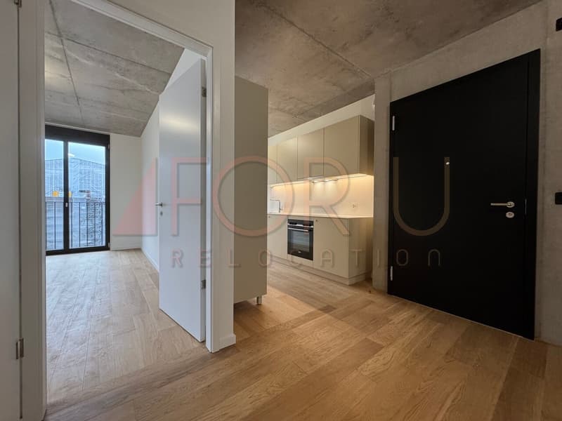 NEUF - très bel appartement de 5 pièces à Carouge (3)