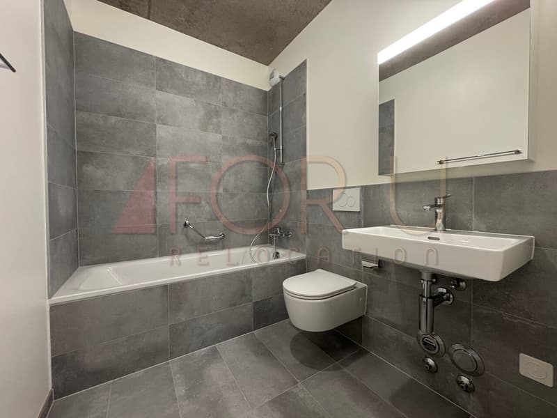 NEUF - très bel appartement de 5 pièces à Carouge (11)