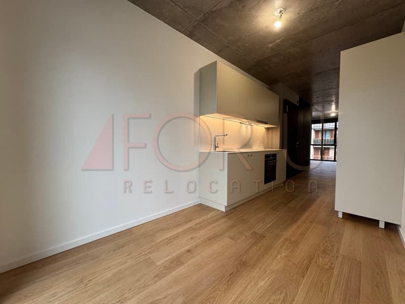NEUF - très bel appartement de 5 pièces à Carouge (6)