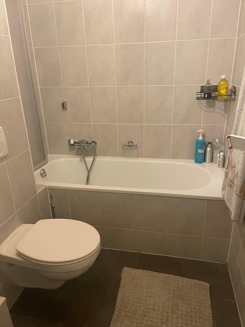 Unique - bel et grand appartement 5.5 pièces avec terrasses aux Pâquis (8)