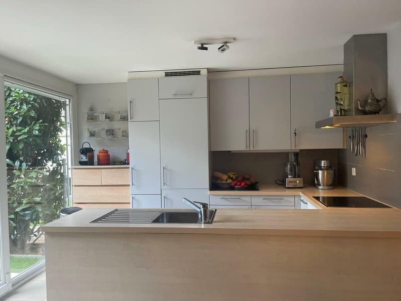 Unique - bel et grand appartement 5.5 pièces avec terrasses aux Pâquis (5)