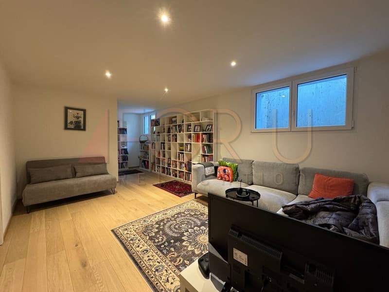Très belle villa moderne entièrement meublée à Collex (7)