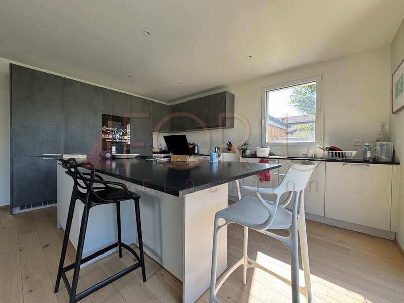 Très belle villa moderne entièrement meublée à Collex (4)