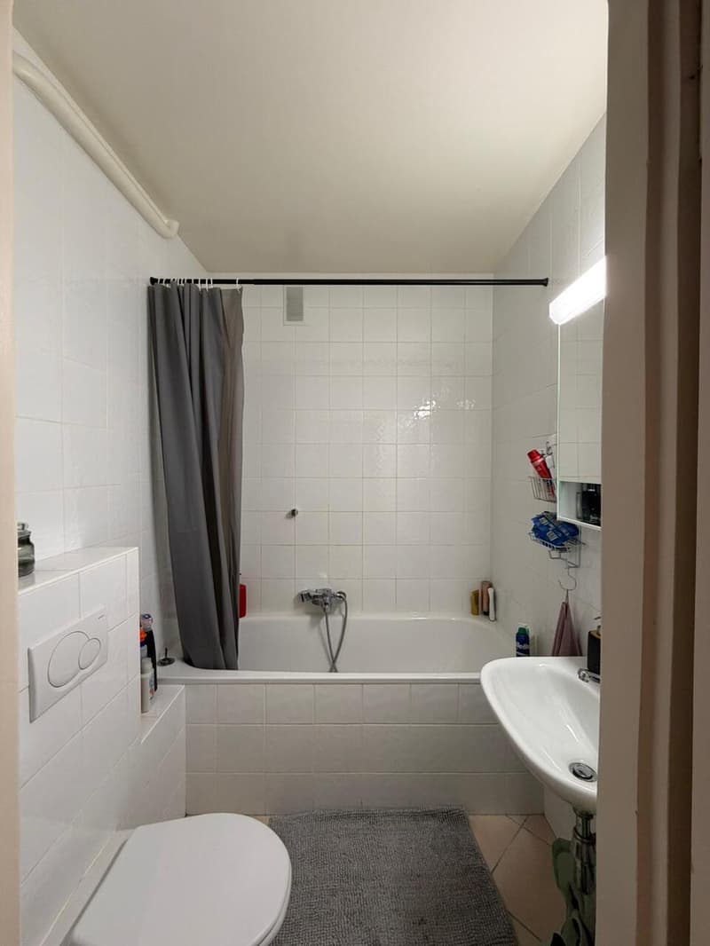 Bel appartement rénové de 2 pièces aux Pâquis (8)