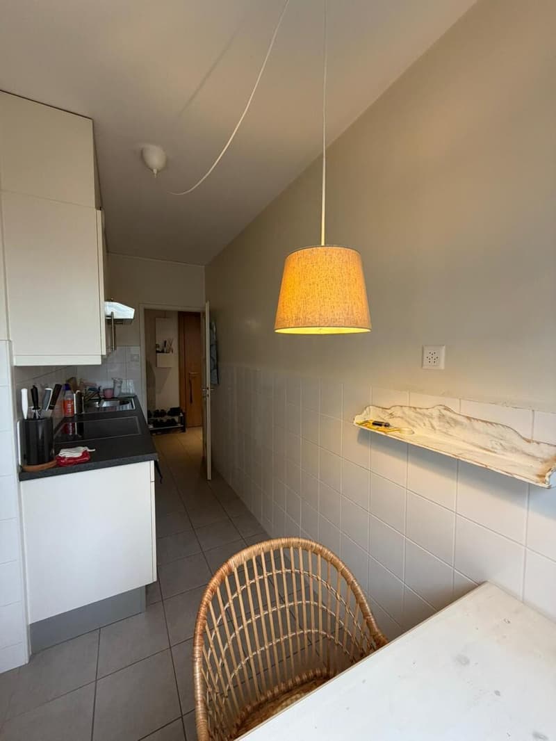 Bel appartement rénové de 2 pièces aux Pâquis (5)
